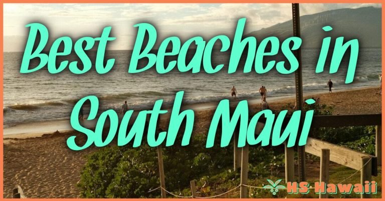 Best Beaches In South Maui: Your Ultimate Guide