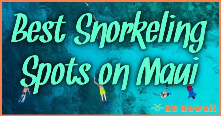 Best Snorkeling Spots On Maui Top Locations Revealed