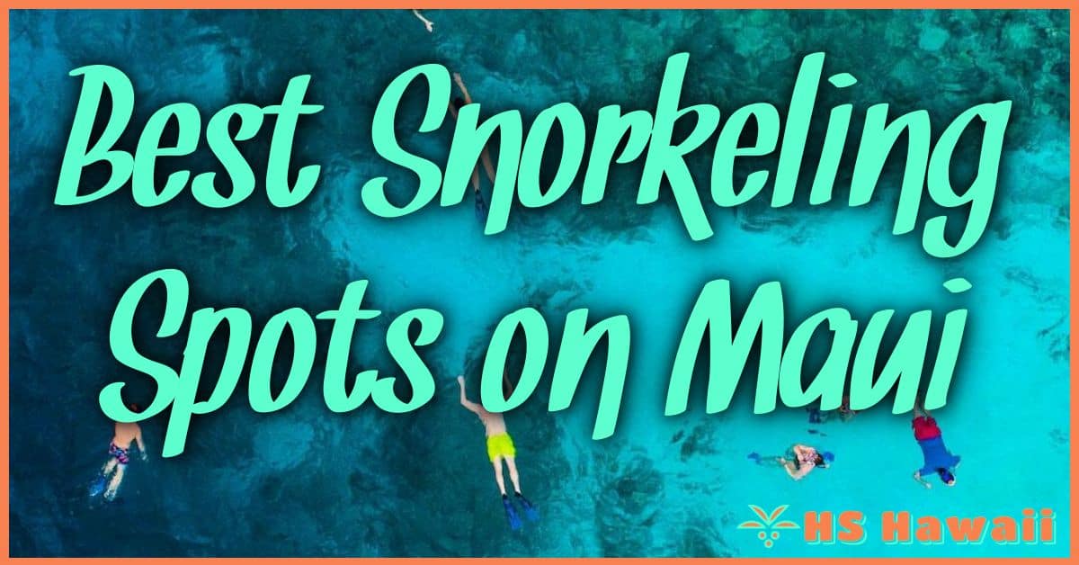 Best Snorkeling Spots on Maui