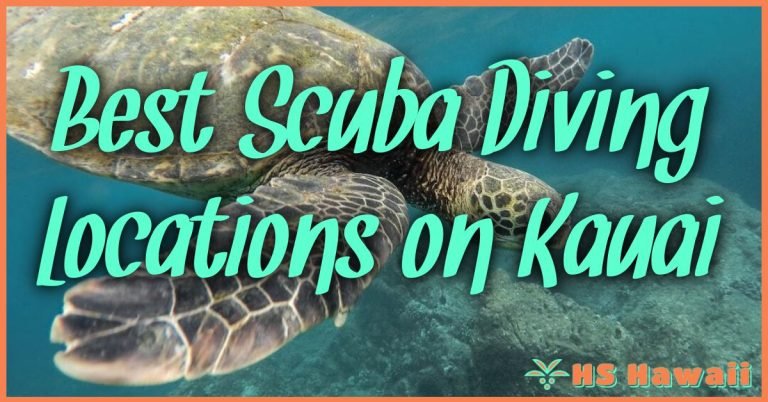 Best Scuba Diving Locations On Kauai: Your Ultimate Underwater ...