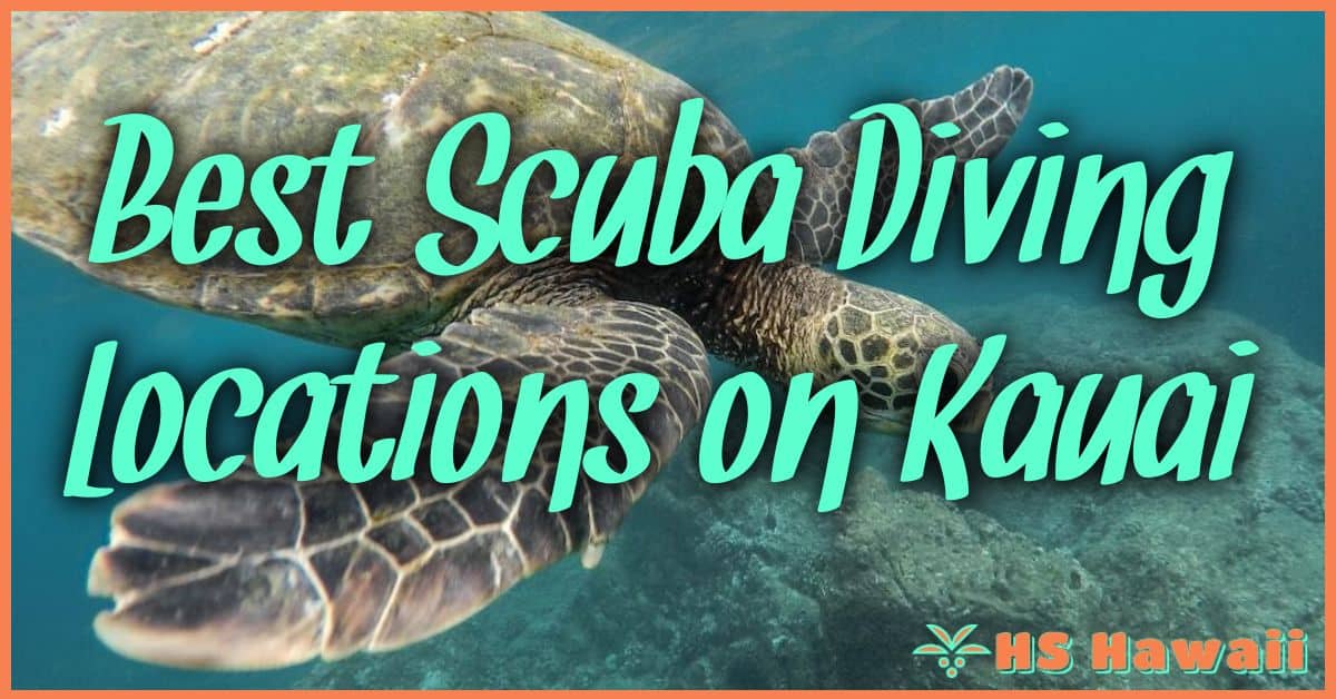 Best Scuba Diving Locations on Kauai