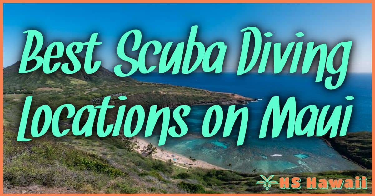 Best Scuba Diving Locations on Maui