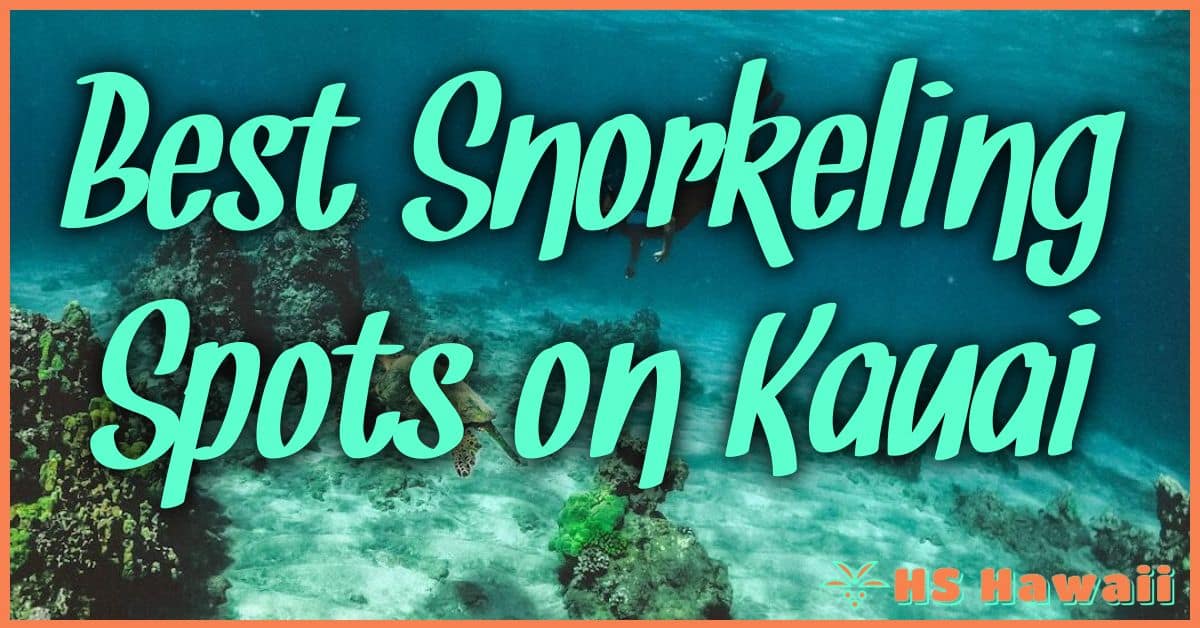Best Snorkeling Spots on Kauai