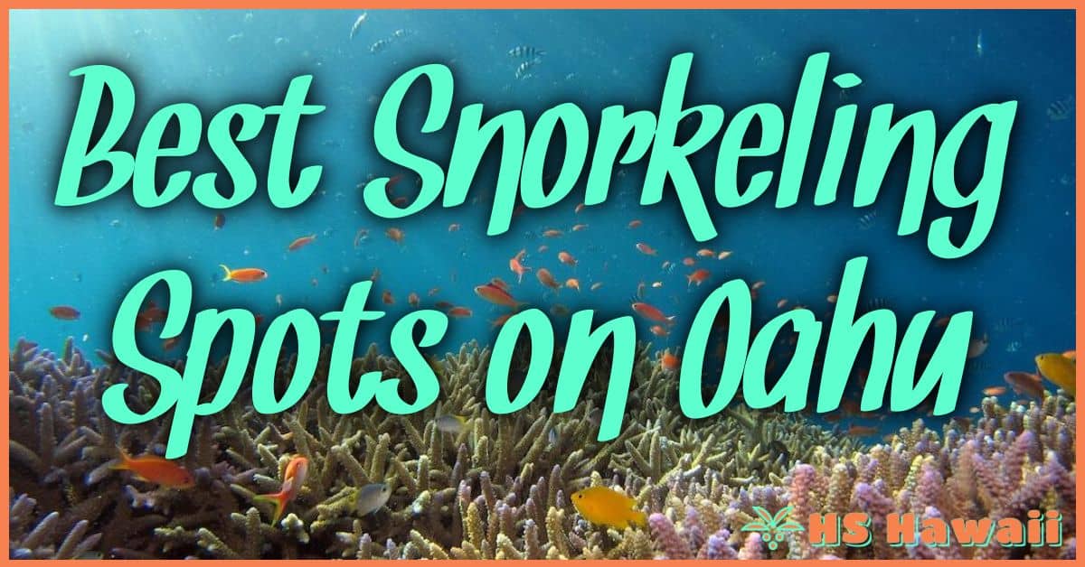 Best Snorkeling Spots on Oahu