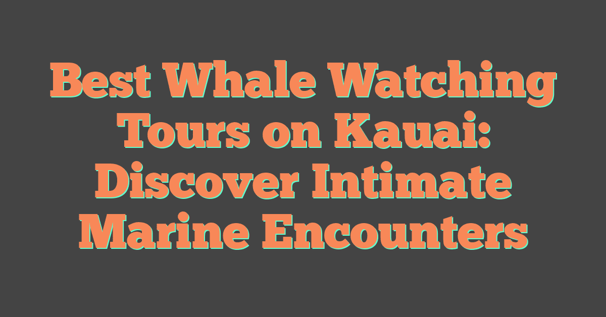 Best Whale Watching Tours on Kauai: Discover Intimate Marine Encounters