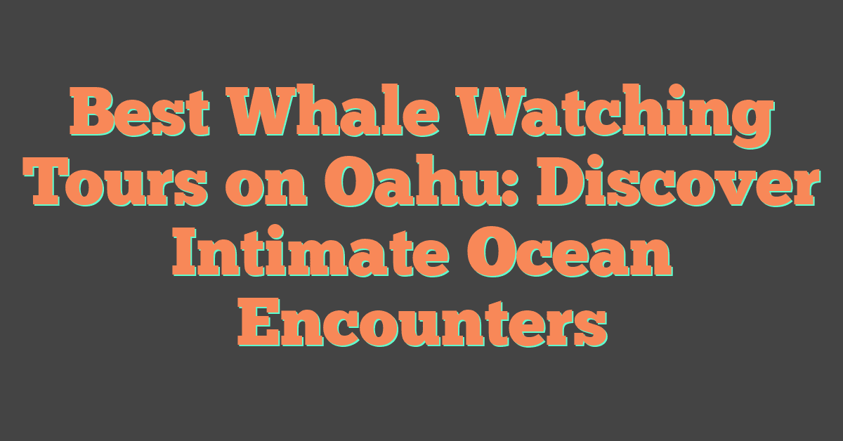 Best Whale Watching Tours on Oahu: Discover Intimate Ocean Encounters