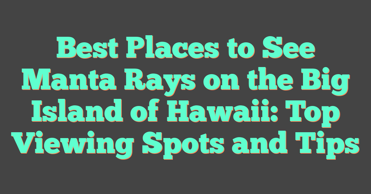Best Places to See Manta Rays on the Big Island of Hawaii: Top Viewing Spots and Tips