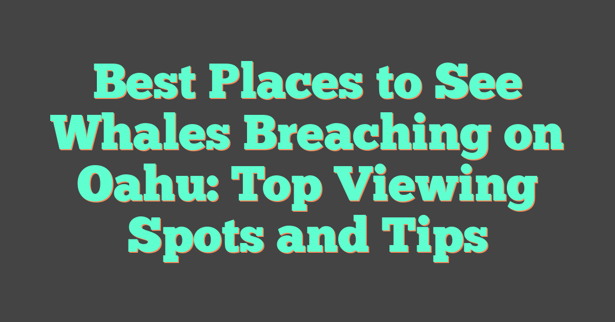 Best Places to See Whales Breaching on Oahu: Top Viewing Spots and Tips