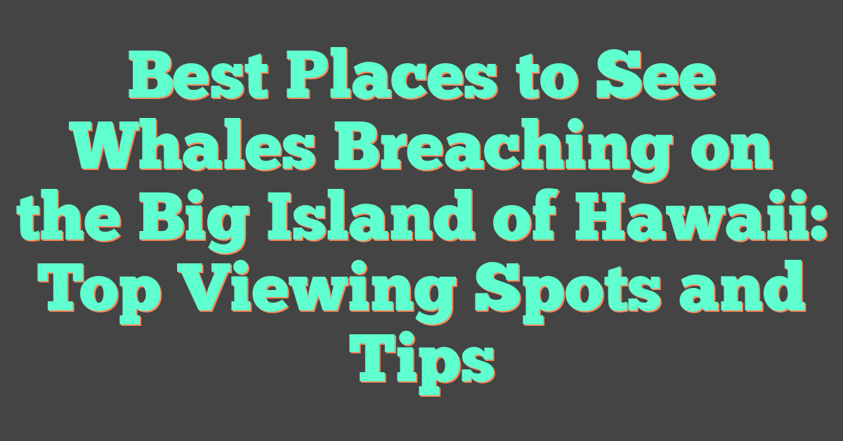 Best Places to See Whales Breaching on the Big Island of Hawaii: Top Viewing Spots and Tips