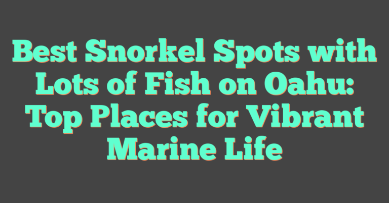 Best Snorkel Spots With Lots Of Fish On Oahu: Top Places For Vibrant ...